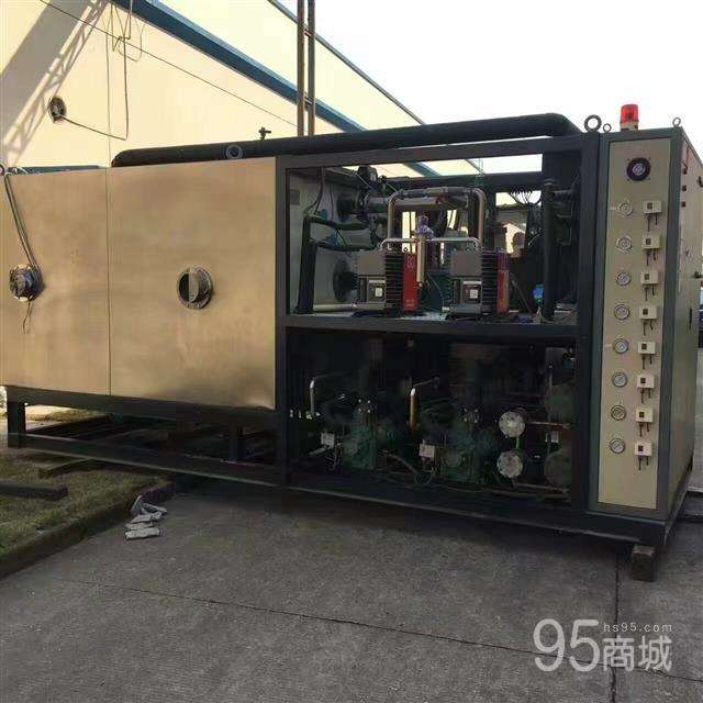13m Shanghai dongfulong freeze-dryer for sale