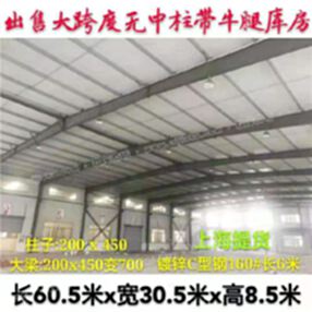上海钢结构 宽30.5米x长60.5米x高8.5米 厂房