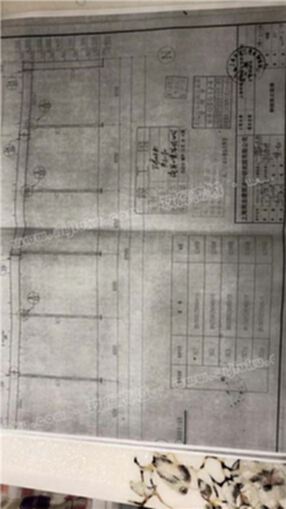 大跨度连跨仓库房适合大型料场