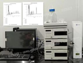 Rohs2.0之多溴联苯和多溴联苯醚检测液相色谱仪